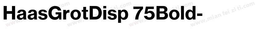 HaasGrotDisp 75Bold字体转换